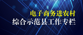 電子商務進農村